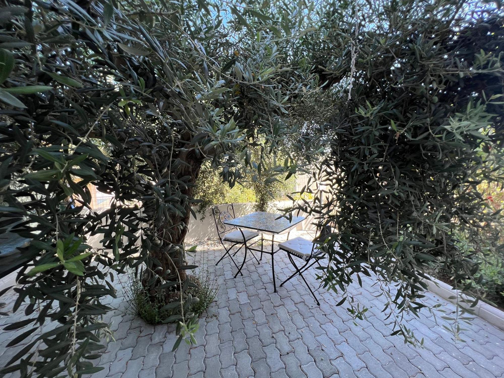 Appartamento L'Ulivo Brancaleone Marina Extérieur photo
